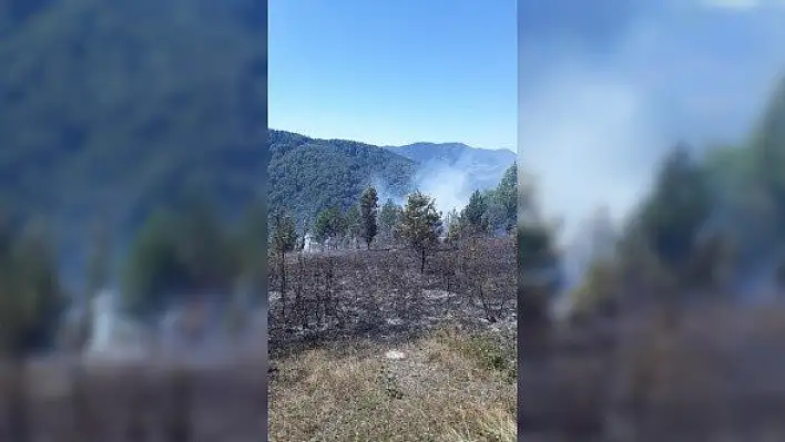 Ormanlık alanda çıkan yangını köylüler söndürdü