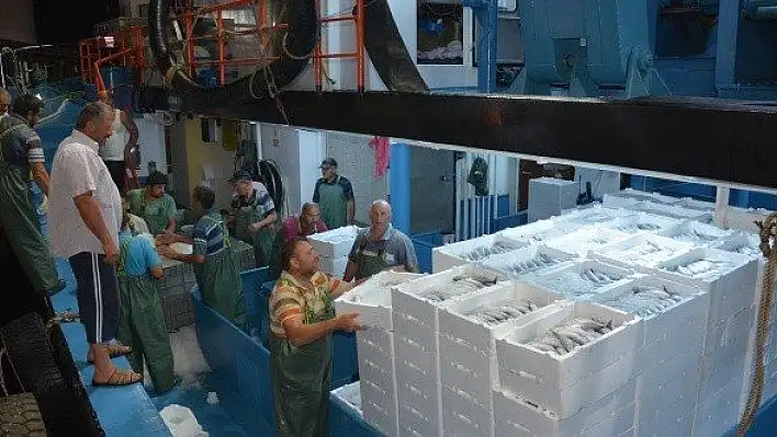 İnebolu'da palamut balıkçıların yüzünü güldürdü