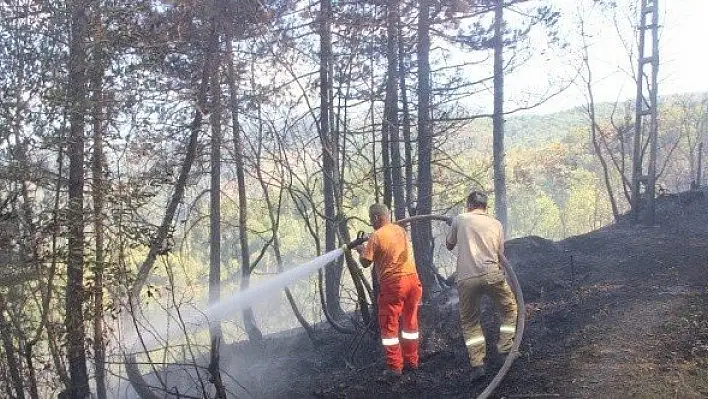 Aynı gün İnebolu'da çıkan 2 ayrı yangın korkuttu
