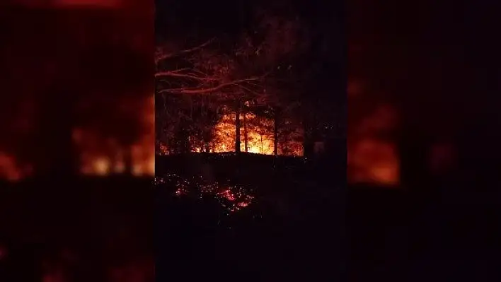Kastamonu'daki orman yangınında 5 dekar alan zarar gördü