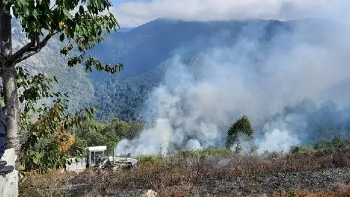 Anız yangını ormanlık alana sıçramadan söndürüldü