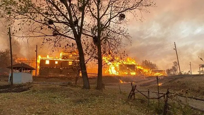 Kastamonu'daki orman yangını 4 ev ve 4 samanlığı da kül etti