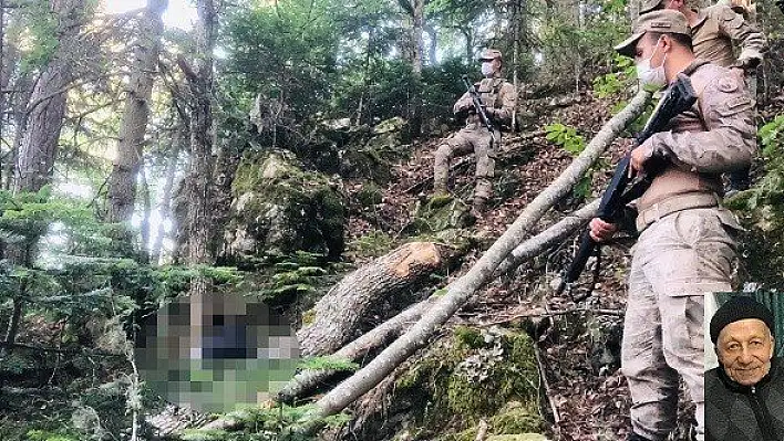 Kestiği ağaç üzerine devrilen kişi 14 gün sonra ölü bulundu