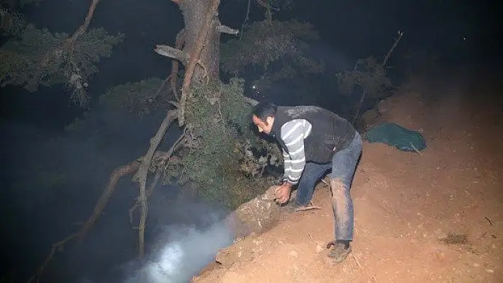 Çatalzeytin ilçesinde çıkan orman yangını devam ediyor