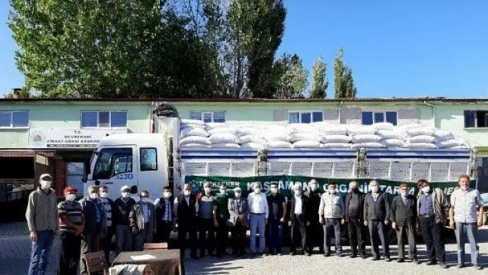10 bin dekar alanda siyez üretimi yapılacak