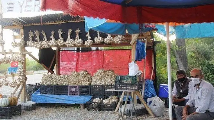 Taşköprü sarımsağı, hırsızların hedefinde