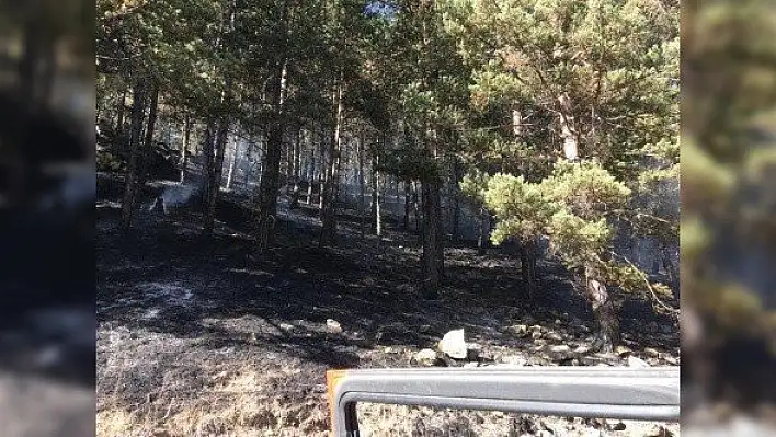 Tosya'da çıkan örtü yangını söndürüldü