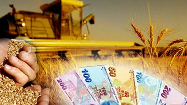 6 Bin 100 Çiftçiye 7 Milyon Lira Yem Bitkisi Desteği