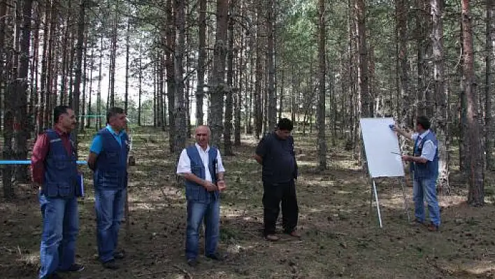 AB'den Kastamonu Ormanlarına 216 Bin Avro Hibe