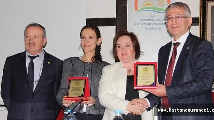 Ayı Saldırılarına Karşı, Arılar Sigorta Kapsamına Alındı
