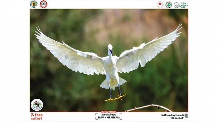 Başkent'ten fotoğraf avcılarına çağrı