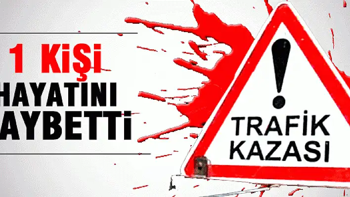 Hasta Annesini Görmeye Giderken Kazada Öldü