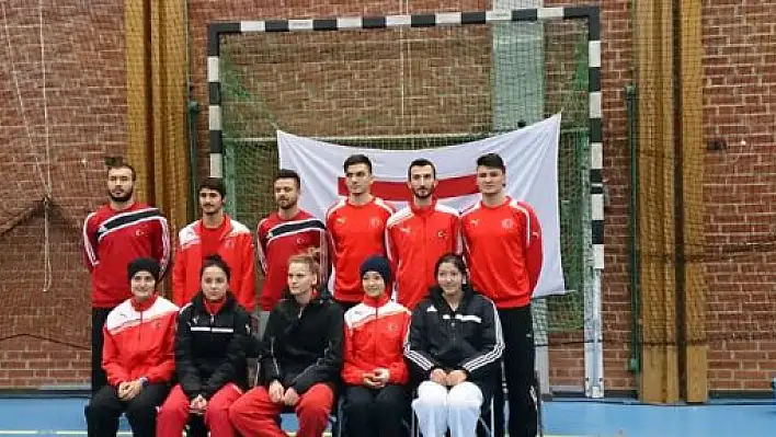 İsveç Açık Taekwondo Şampiyonası