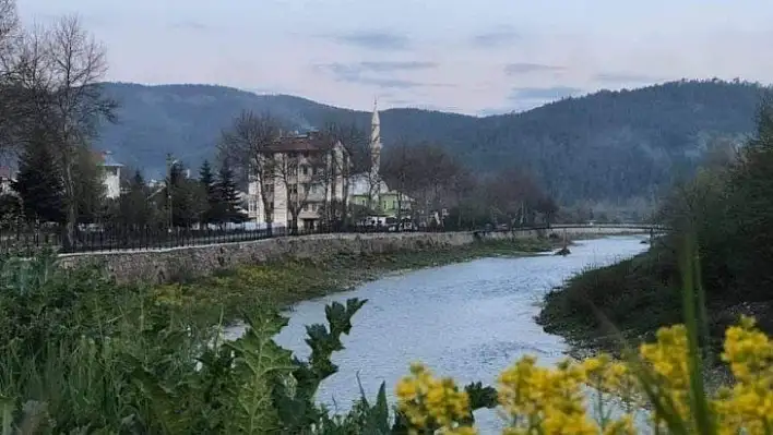 Azdavay'da çayda üç tane su samuru görüldü