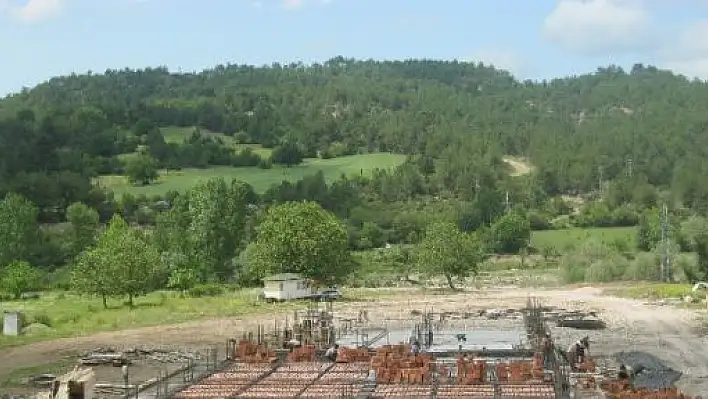Kastamonu'da Tavukçuluk Sektörü Gelişiyor