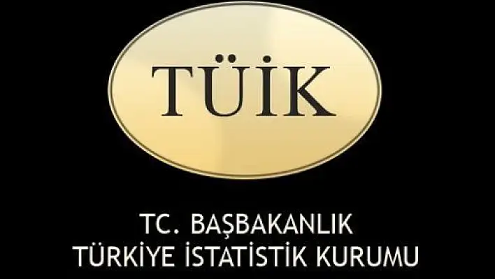 TÜİK'ten Yaygın Eğitim Faaliyetleri Araştırması 