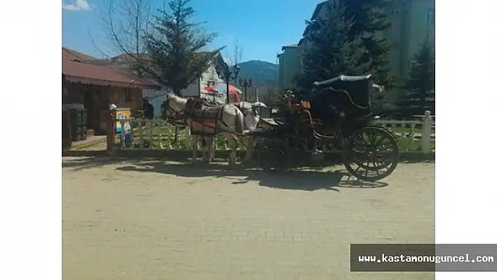 Turistler Fayton İçin Daday'a Akın Ediyor
