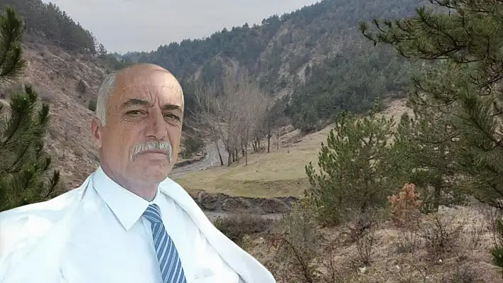 Vali Dallı'dan talepte bulundu