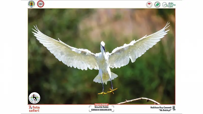 Başkent'ten fotoğraf avcılarına çağrı