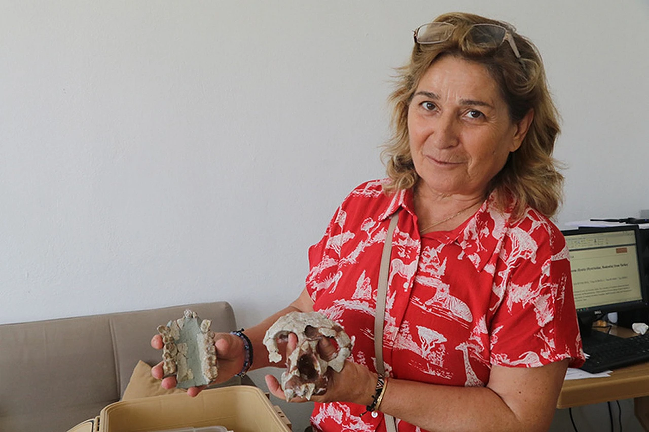 Çankırı'da fosilleri bulunan 4 tür bilim dünyasına kazandırıldı