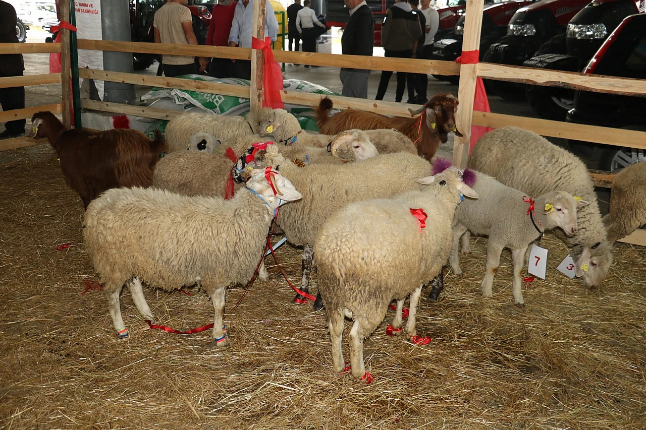 'Kastamonu bir tarım kenti'